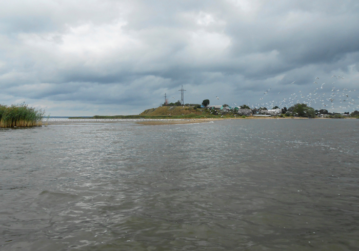 pskovskoe