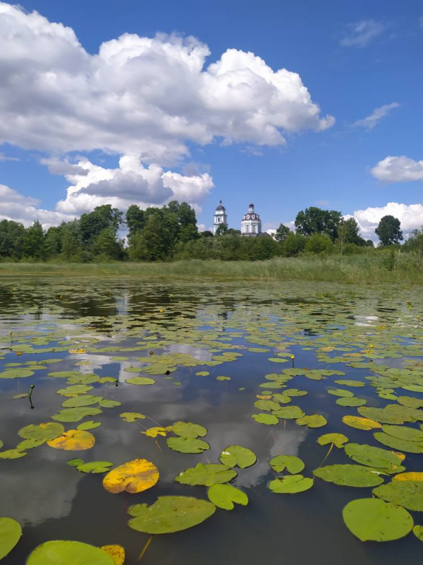 Исследование Столбушинского озера